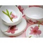 Сервиз столовый Luminarc Water Color 19 предметов E4905